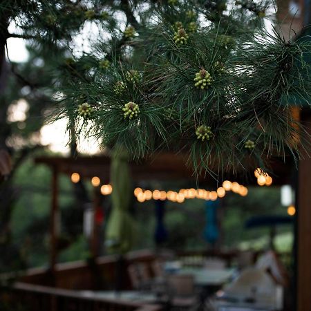 Silver City Coyote Blues Village Bed & Breakfast מראה חיצוני תמונה
